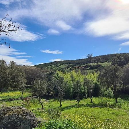Quinta Da Utopia Castelo de Vide Eksteriør bilde