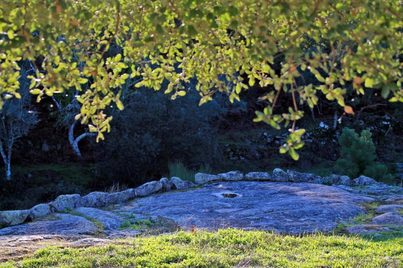 Quinta Da Utopia Castelo de Vide Eksteriør bilde