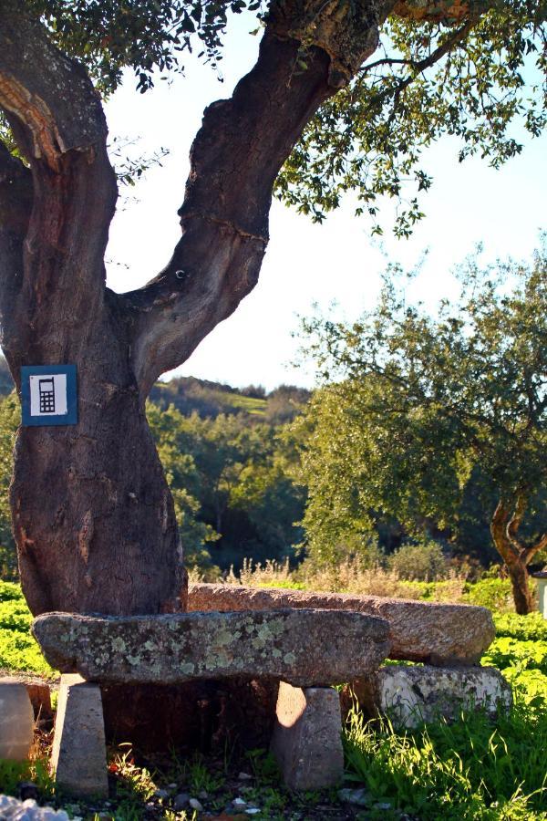 Quinta Da Utopia Castelo de Vide Eksteriør bilde
