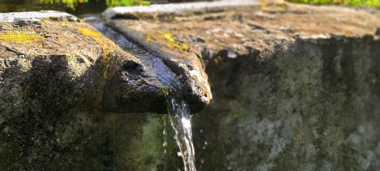 Quinta Da Utopia Castelo de Vide Eksteriør bilde