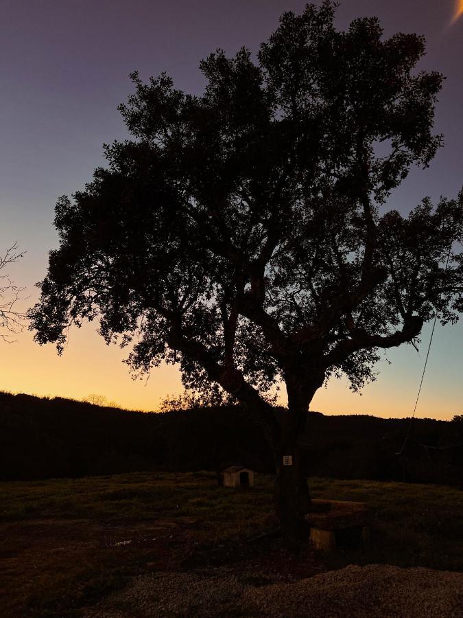 Quinta Da Utopia Castelo de Vide Eksteriør bilde