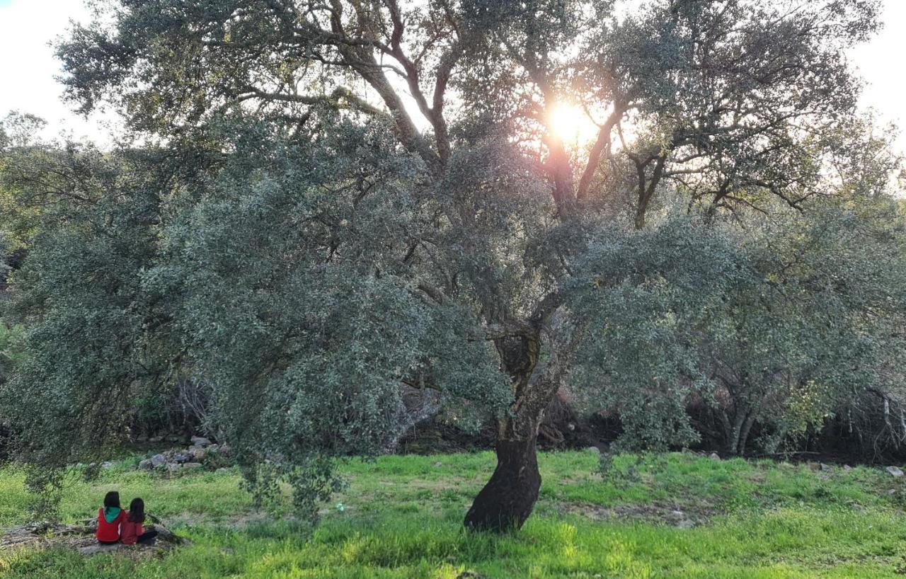Quinta Da Utopia Castelo de Vide Eksteriør bilde