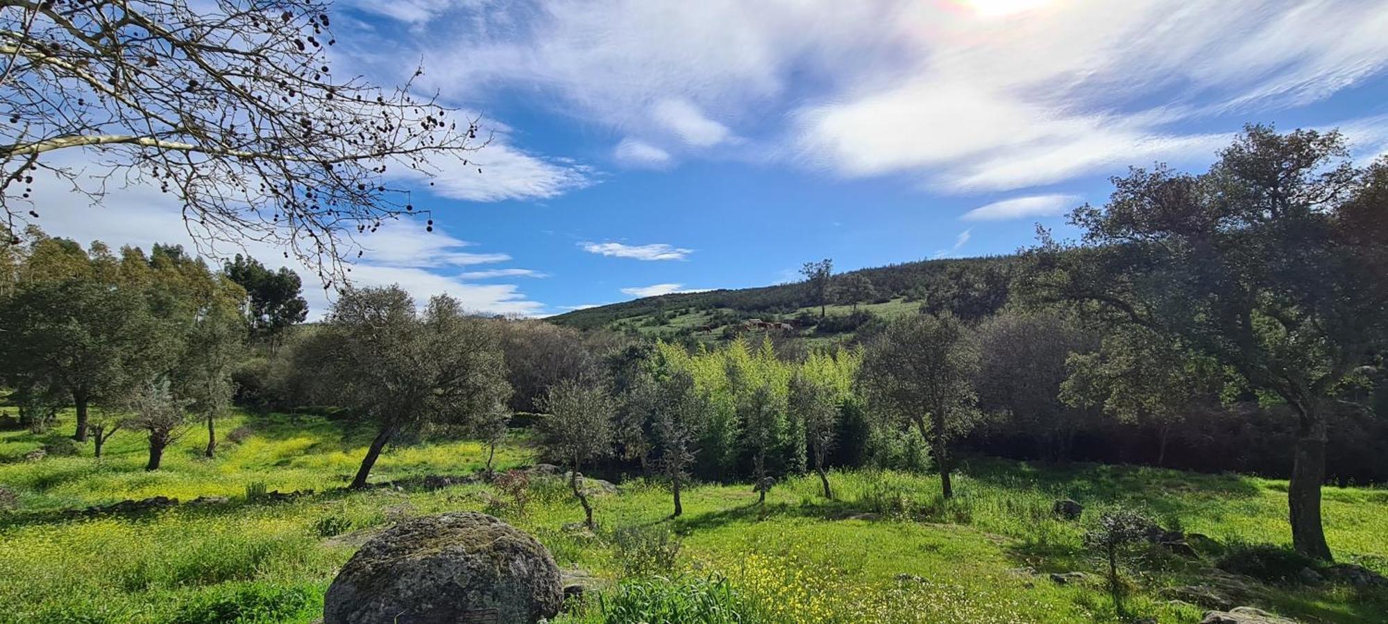Quinta Da Utopia Castelo de Vide Eksteriør bilde