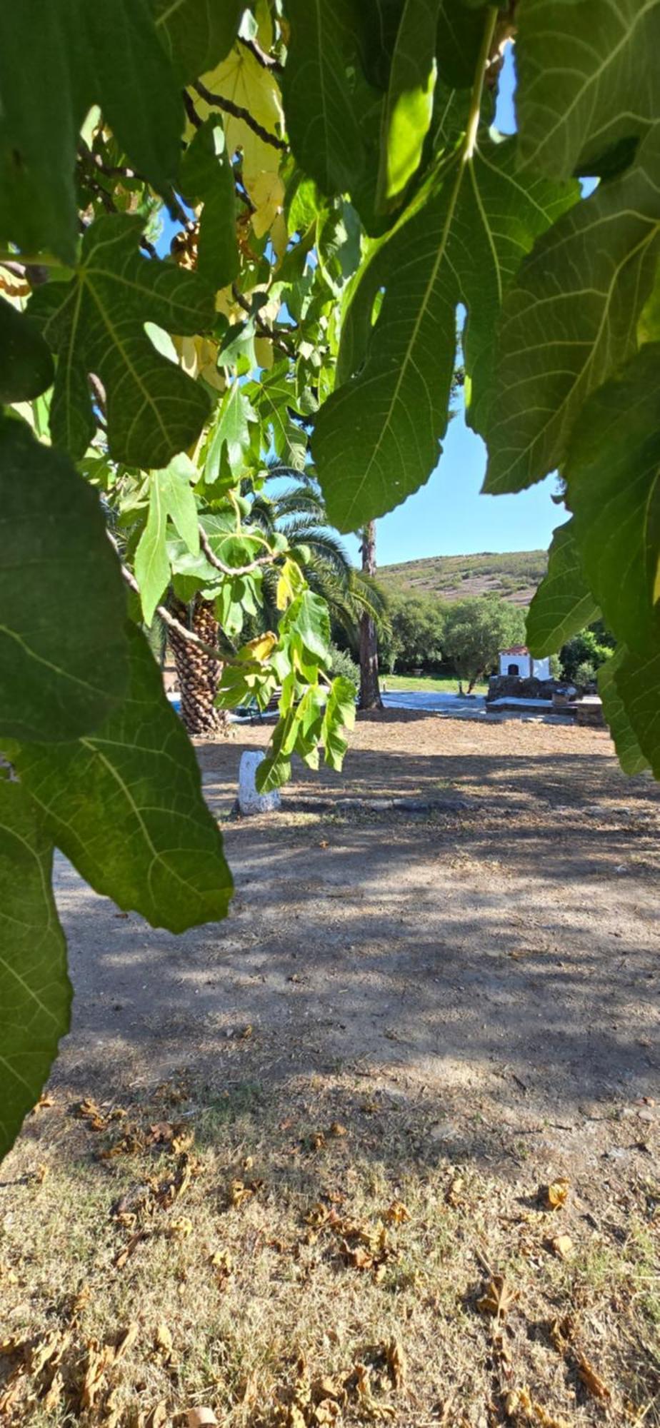 Quinta Da Utopia Castelo de Vide Eksteriør bilde