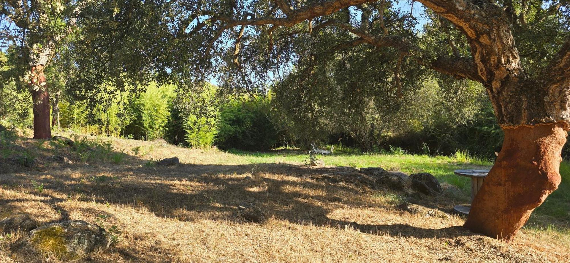Quinta Da Utopia Castelo de Vide Eksteriør bilde